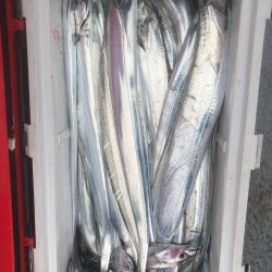 フィッシング　キッタカ 釣果