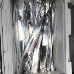 フィッシング　キッタカ 釣果