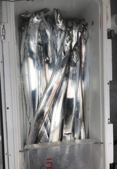 フィッシング　キッタカ 釣果