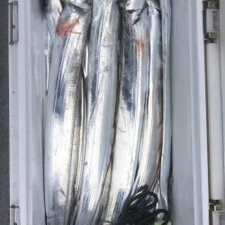 フィッシング　キッタカ 釣果