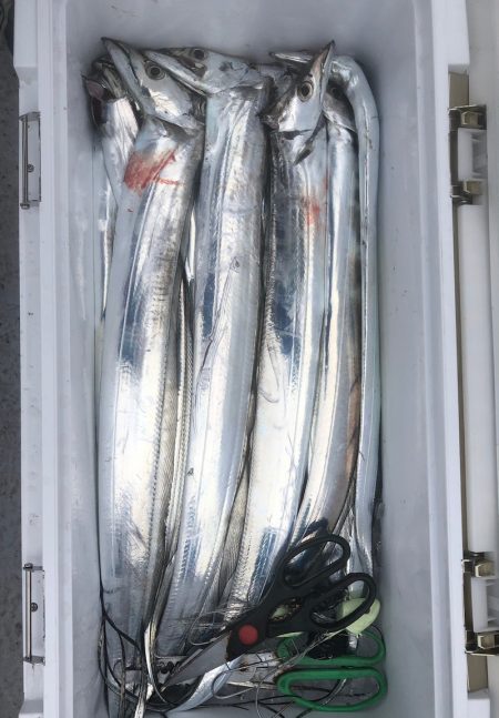 フィッシング　キッタカ 釣果