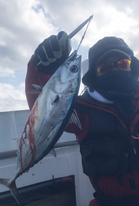 渡船屋たにぐち 釣果