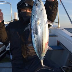 渡船屋たにぐち 釣果