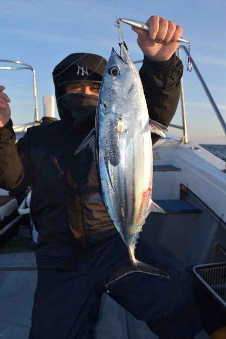 渡船屋たにぐち 釣果