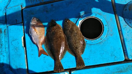 フィッシングガイド りょう 釣果