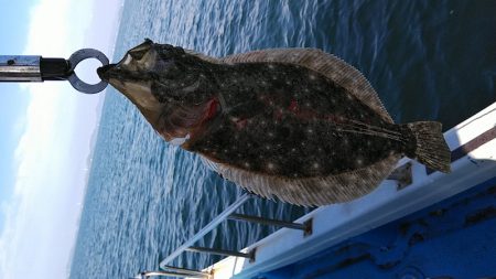 フィッシングガイド りょう 釣果