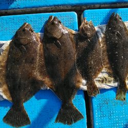 フィッシングガイド りょう 釣果