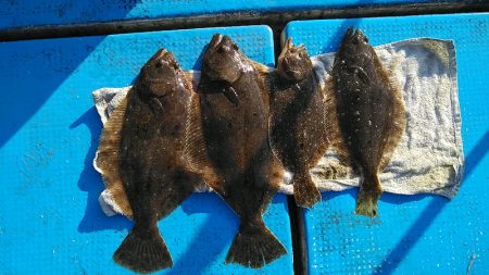 フィッシングガイド りょう 釣果