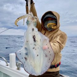 South Current 釣果