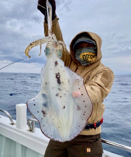 South Current 釣果