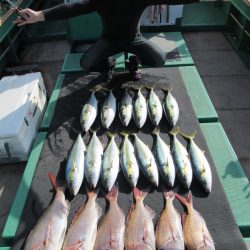 真祐丸 （しんゆうまる） 釣果