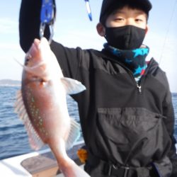 ＪＤＩ　Ｒａｃｉｎｇ　シールズマリンレジャー 釣果