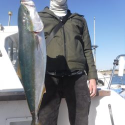 JDI Racing シールズマリンレジャー 釣果