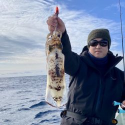 South Current 釣果