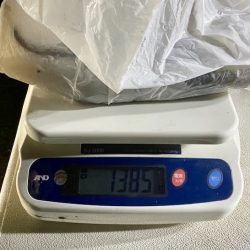 South Current 釣果