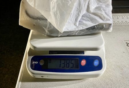 South Current 釣果