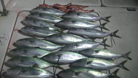 ＪＤＩ　Ｒａｃｉｎｇ　シールズマリンレジャ…