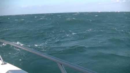 JDI Racing シールズマリンレジャー 釣果