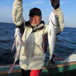 真祐丸 （しんゆうまる） 釣果