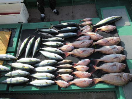 真祐丸 （しんゆうまる） 釣果