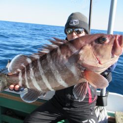 真祐丸 (しんゆうまる) 釣果