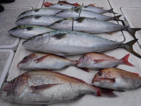 ＪＤＩ　Ｒａｃｉｎｇ　シールズマリンレジャ…