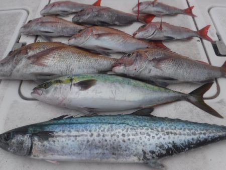 ＪＤＩ　Ｒａｃｉｎｇ　シールズマリンレジャ…