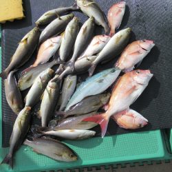 真祐丸 （しんゆうまる） 釣果