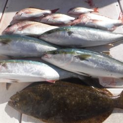 JDI Racing シールズマリンレジャー 釣果