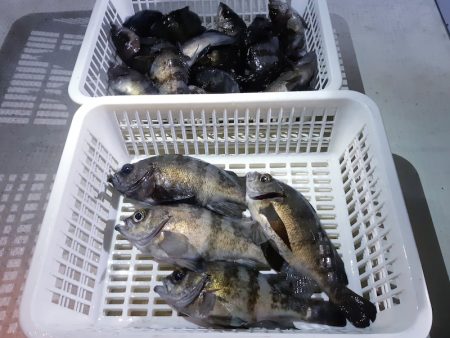 KIM Fishing Guide Ser…