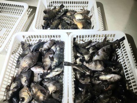 KIM Fishing Guide Ser…