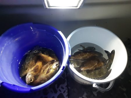 KIM Fishing Guide Ser…