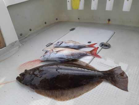 KIM Fishing Guide Ser…