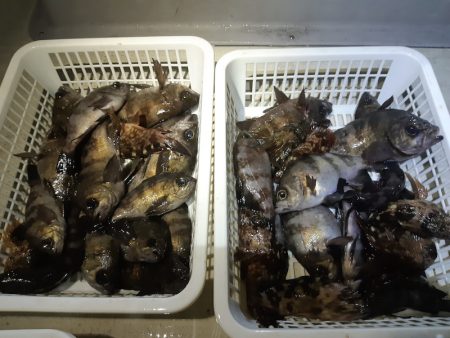 KIM Fishing Guide Ser…