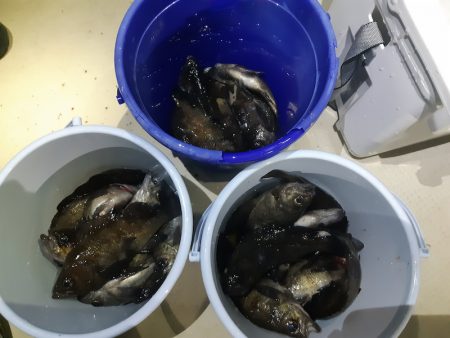 KIM Fishing Guide Ser…