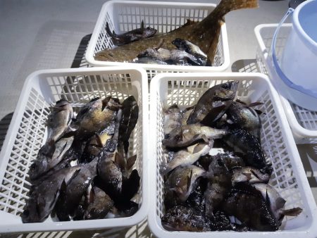 KIM Fishing Guide Ser…