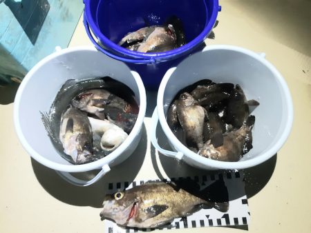 KIM Fishing Guide Ser…