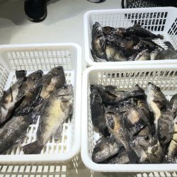 KIM Fishing Guide Service 釣果