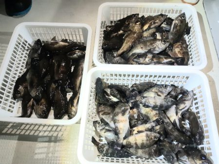 KIM Fishing Guide Ser…