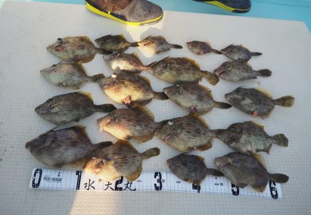 水天丸 釣果