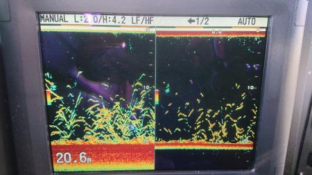 深川 吉野屋 釣果
