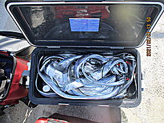 遊漁船 未紗奈 釣果