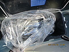 遊漁船 未紗奈 釣果