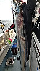 遊漁船 未紗奈 釣果