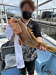 遊漁船 未紗奈 釣果