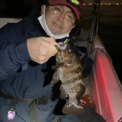 メバルプラッキングを本格的に