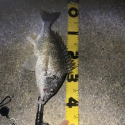 ブリームゲーム