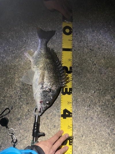 ブリームゲーム