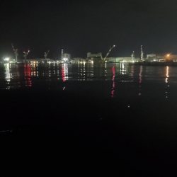 イカ釣りのはずが…