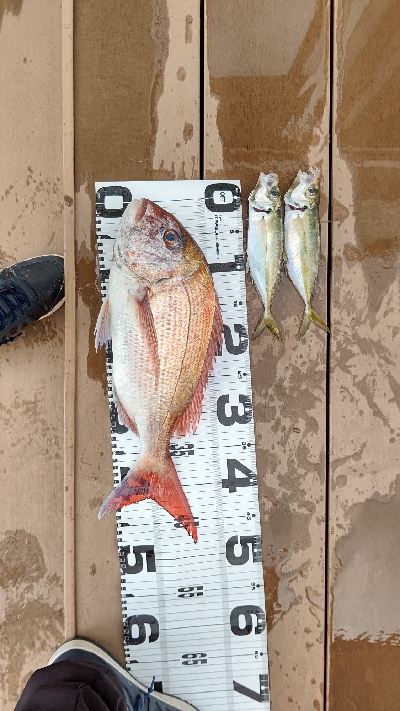 今年初釣果！！